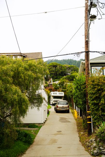 A narrow residential driveway with a tarmac surface, bordered by tall, dense green hedges and trees on both sides. The driveway extends into the distance towards a small gate and a building beyond. On